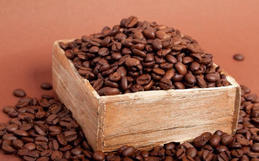 教你如何煮咖啡豆 咖啡豆能直接吃嗎