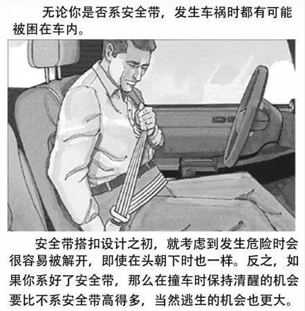 生活小常識：安全帶常見使用誤區