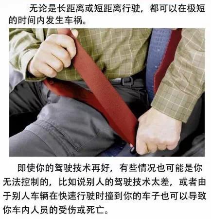 生活小常識：安全帶常見使用誤區