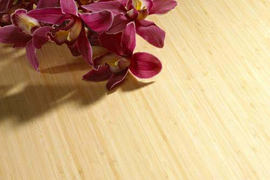 環保裝修健康生活 竹木地板的選購保養