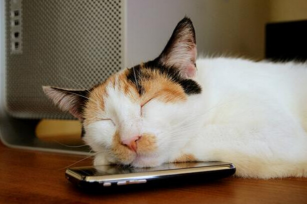 睡覺不要把手機放在旁邊