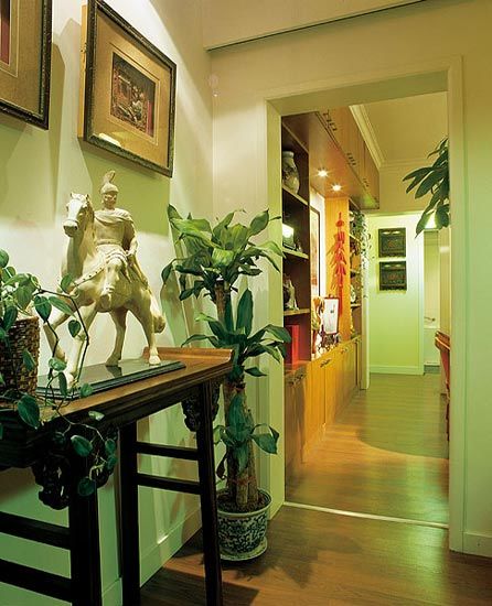 室內裝飾，客廳植物擺放也講究風水