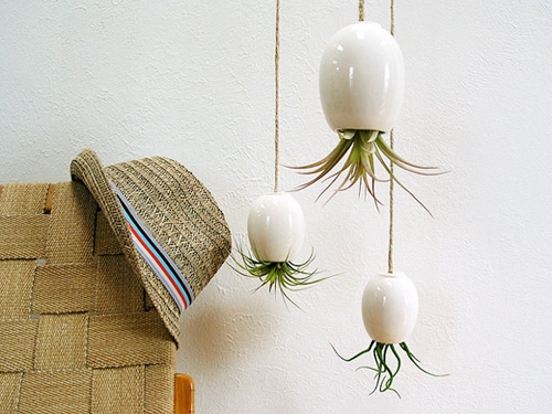 創意室內綠色植物趣味裝飾