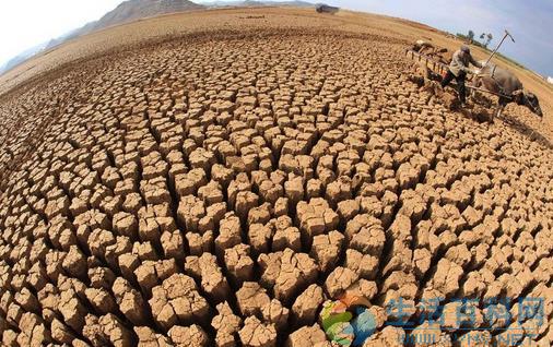 6月17日是什麼節日？世界防治荒漠化和干旱日