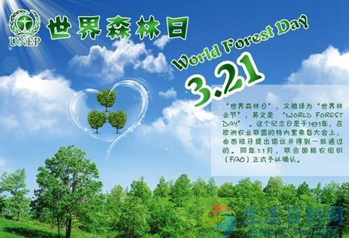 3月21日是什麼節日？世界森林日的來歷和意義