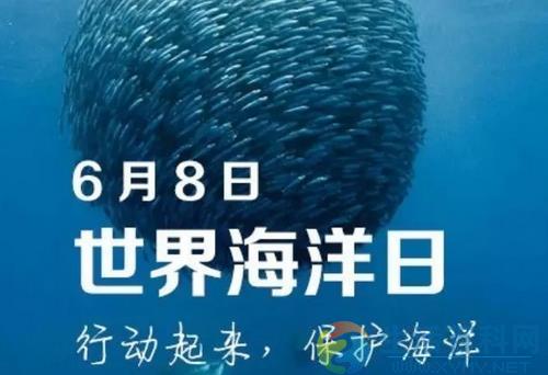 6月8日是什麼節日？世界海洋日是幾月幾日